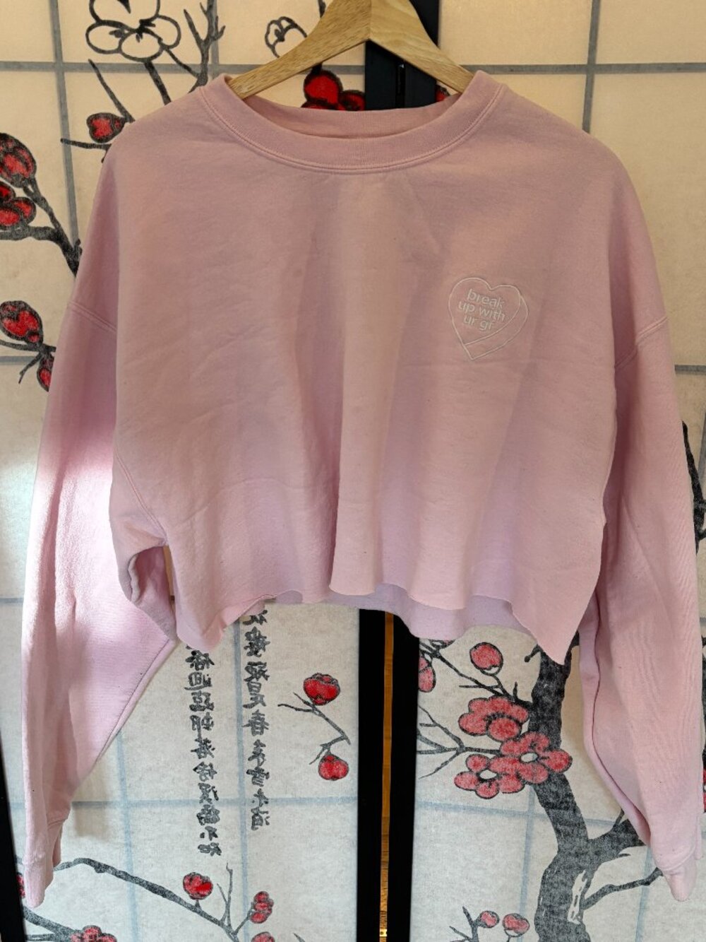 Ariana Grande Break Up With Your Girlfriend Pink Cropped Sweatshirt Size XL
